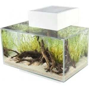 Fluval EDGE 2.0 LED Aquarium White 23L
