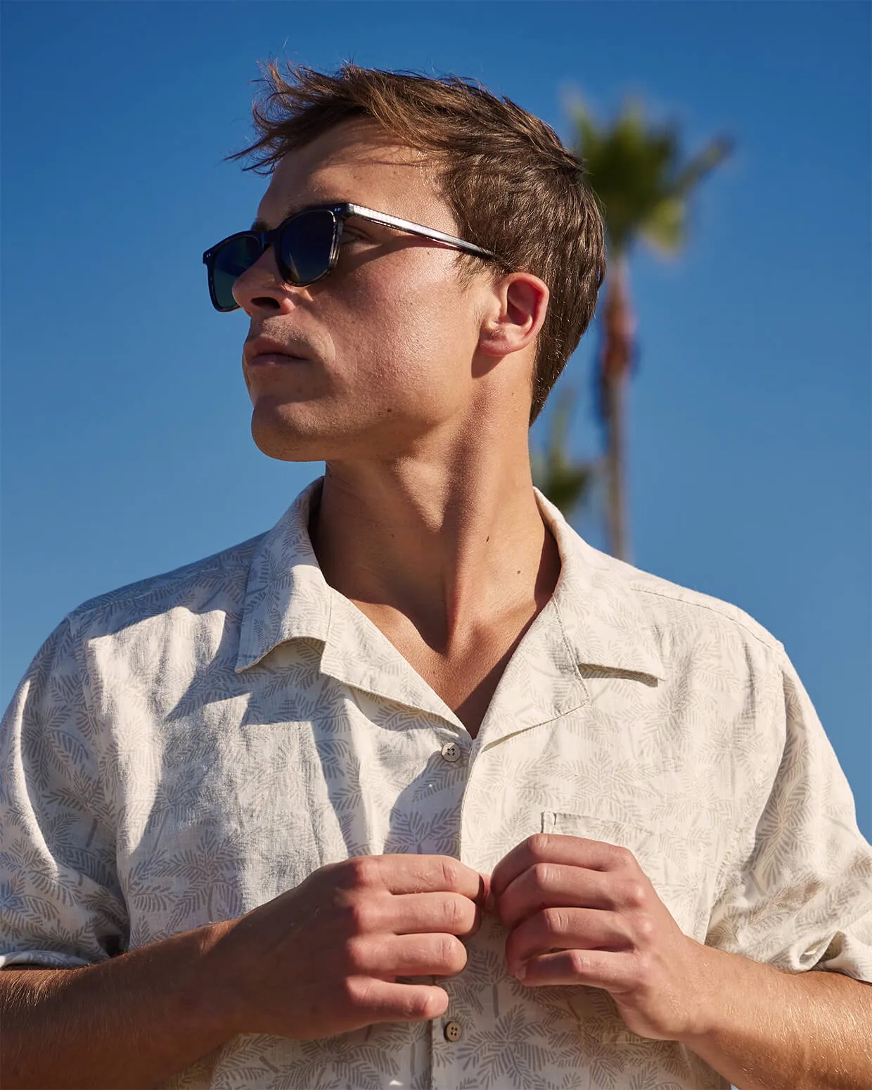 Palms | Pearl Paradise